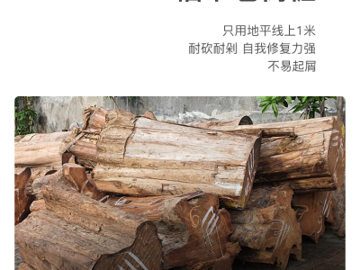 Teak Knowledge Base